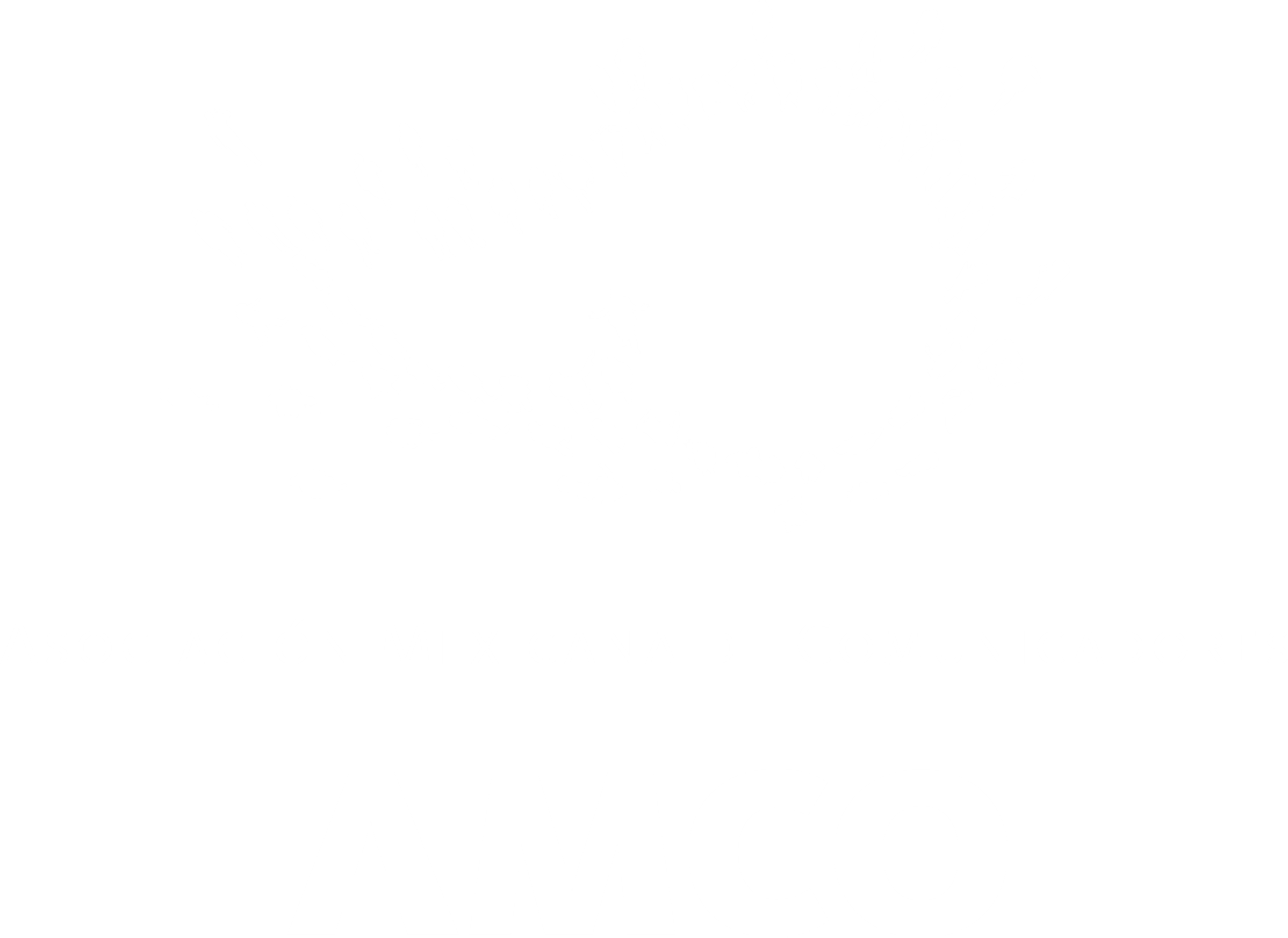 amco_logo
